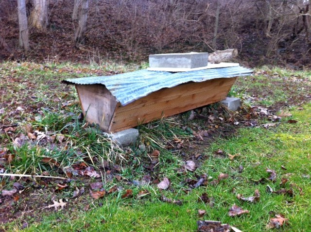 top bar hive