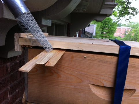 Catch box and the trap-out cone 20120505-065150.jpg