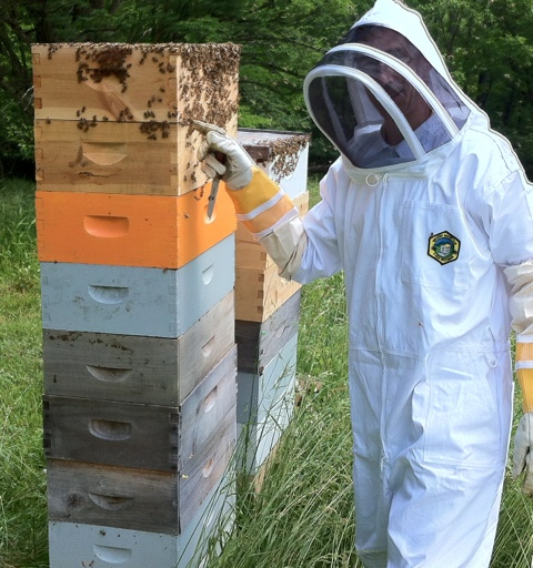 Simon and the Monster Hive (before we added box #10) 20120525-063255.jpg