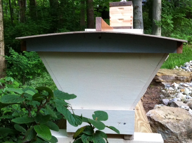Bob's top-bar hive (rear view)