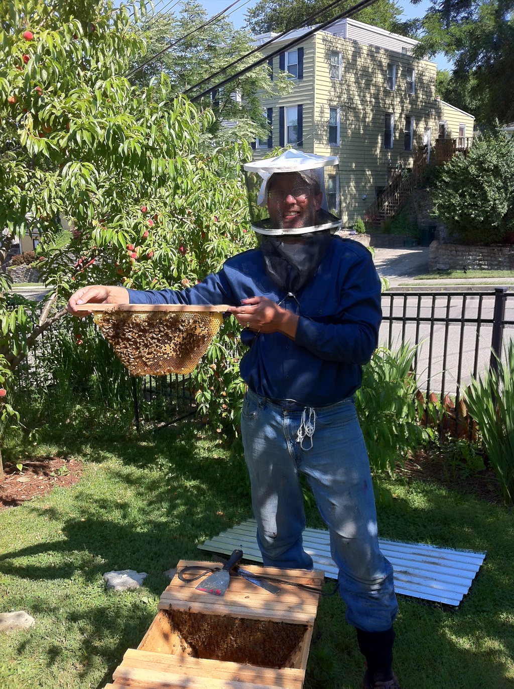 Matt and a bar of his bees 20120616-071317.jpg
