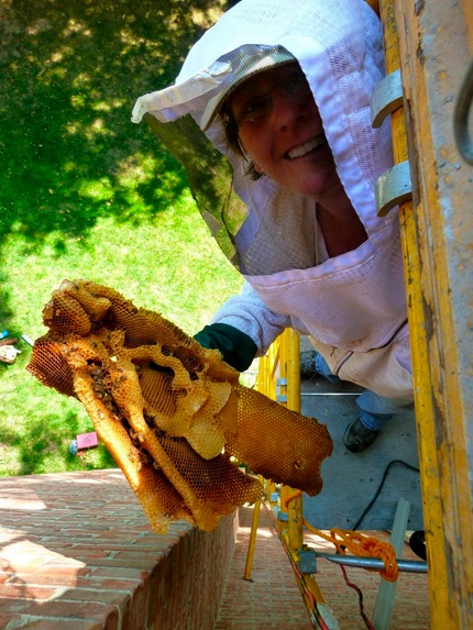 Liz catches a hunk of comb