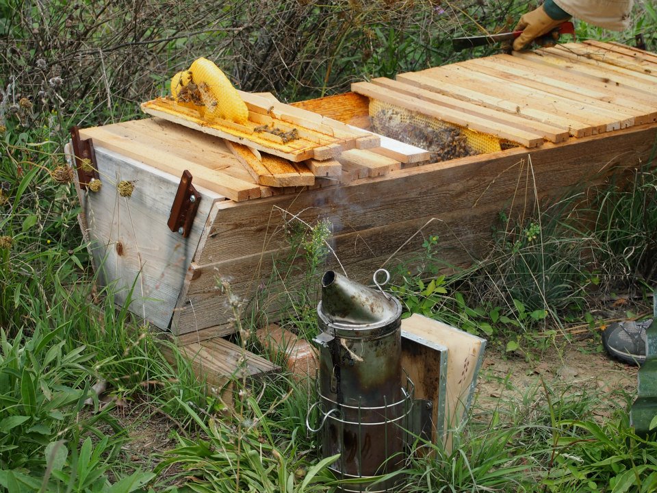 Brazee top-bar hive