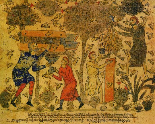 Praise of the Bees circa 1087 Barberini Exultet Scroll