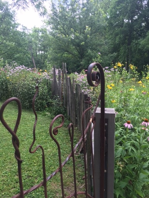 Wildflowers and a wild fence