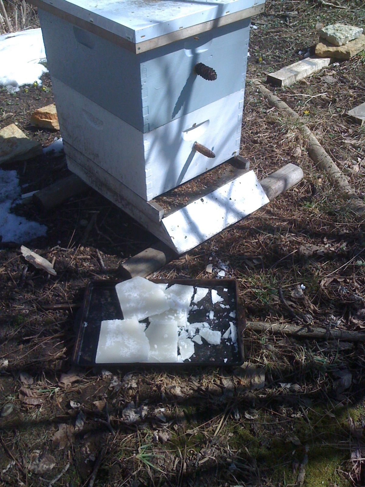 Pine cones on the bee hive, and candy at the door